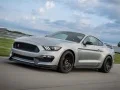 Leikur Mustang Shelby Pusla á netinu