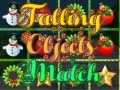 Leikur Falling Object Match á netinu