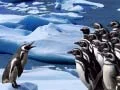 Leikur Rennandi Pinguína á netinu