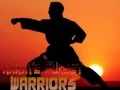 Leikur Karate Sólarlagna Stríðsmenn á netinu Leikur Karate Sólarlagna Stríðsmenn á netinu