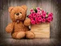 Leikur Fínt teddy bear ráðgáta á netinu Leikur Fínt teddy bear ráðgáta á netinu