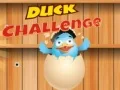 Leikur Duck Challenge á netinu