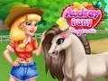 Leikur Audrey Pony Dagmamma á netinu