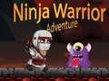 Leikur Ninja Warrior Ævintýri á netinu