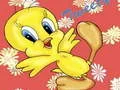 Leikur Tweety myndaspílarsafn á netinu