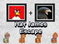 Leikur Flóttinn James með Húfu á netinu