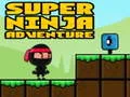 Leikur Ofur Ævintýri Ninja á netinu