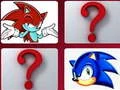 Leikur Sonic Minniásvika á netinu