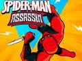 Leikur Spiderman: Morðingi á netinu