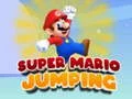 Leikur Super Mario Uppskoðun á netinu