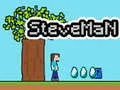 Leikur Steveman á netinu
