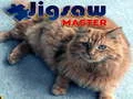 Leikur Smámynd Master á netinu Leikur Smámynd Master á netinu