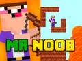 Leikur Herra Noob á netinu