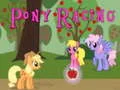 Leikur Pony keppni á netinu Leikur Pony keppni á netinu