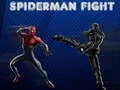 Leikur Barátta Spiderman á netinu