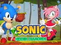 Leikur Sonic: Falið Dýrmætir á netinu