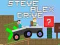 Leikur Steve Alex Akstur á netinu
