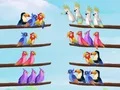 Leikur Bird Sort Puzzle á netinu Leikur Bird Sort Puzzle á netinu