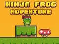 Leikur Ninja Froskur Bera á netinu