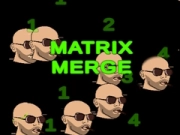 Leikur Samþjöppun Matris á netinu