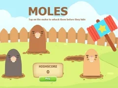 Leikur Sláðu mýs á netinu