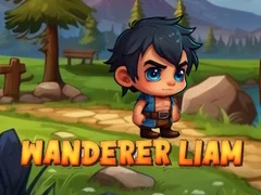 Leikur Vandrandi Liam á netinu