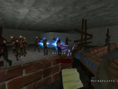 Leikur Call of Duty: Zombie á netinu
