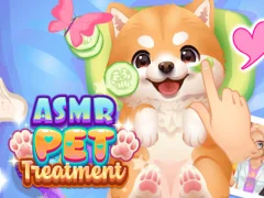 Leikur ASMR PET meðferð á netinu
