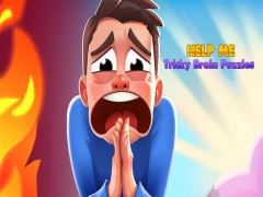 Leikur Hjálpaðu mér: erfiðar heilaþrautir á netinu