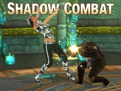 Leikur Shadow Combat á netinu