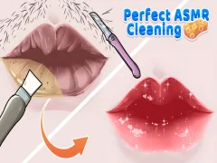 Leikur Fullkomin ASMR hreinsun á netinu