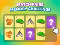 Leikur Match Pairs Memory Challenge á netinu