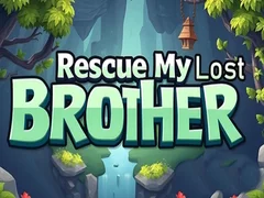 Leikur Bjarga bróðir mínum sem er týndur á netinu