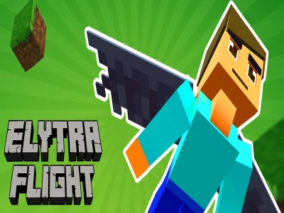 Leikur Elytra flug á netinu