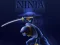 Leikur Ninja Dash á netinu