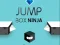 Leikur Ninja Hoppu Kassi á netinu Leikur Ninja Hoppu Kassi á netinu