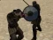 Leikur Gladiator Simulators á netinu