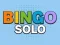 Leikur Bingo Solo á netinu