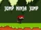 Leikur Hoppa Ninja Hoppa á netinu Leikur Hoppa Ninja Hoppa á netinu