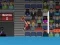 Leikur Körfuboltaleikur 2D á netinu