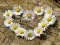 Leikur Daisy Heart Puzzl á netinu
