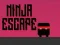 Leikur Ninja flótti á netinu