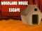 Leikur Flóttinn úr Skógarhúsinu á netinu