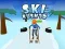 Leikur Ski Rush 3D á netinu