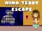 Leikur Nina Teddy Flótti á netinu