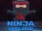 Leikur Ninja Morðingi á netinu