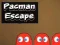Leikur Pacman Flóttinn á netinu