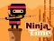 Leikur Ninja Tími á netinu