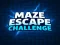 Leikur Maze Escape Challenge á netinu