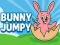 Leikur Bunny Jumpy á netinu